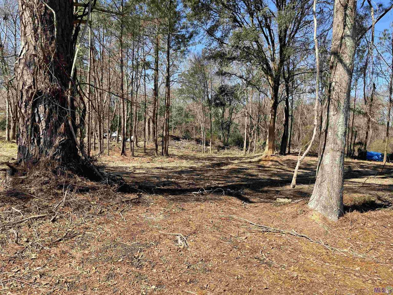 H H Wilson Rd - Photo 1