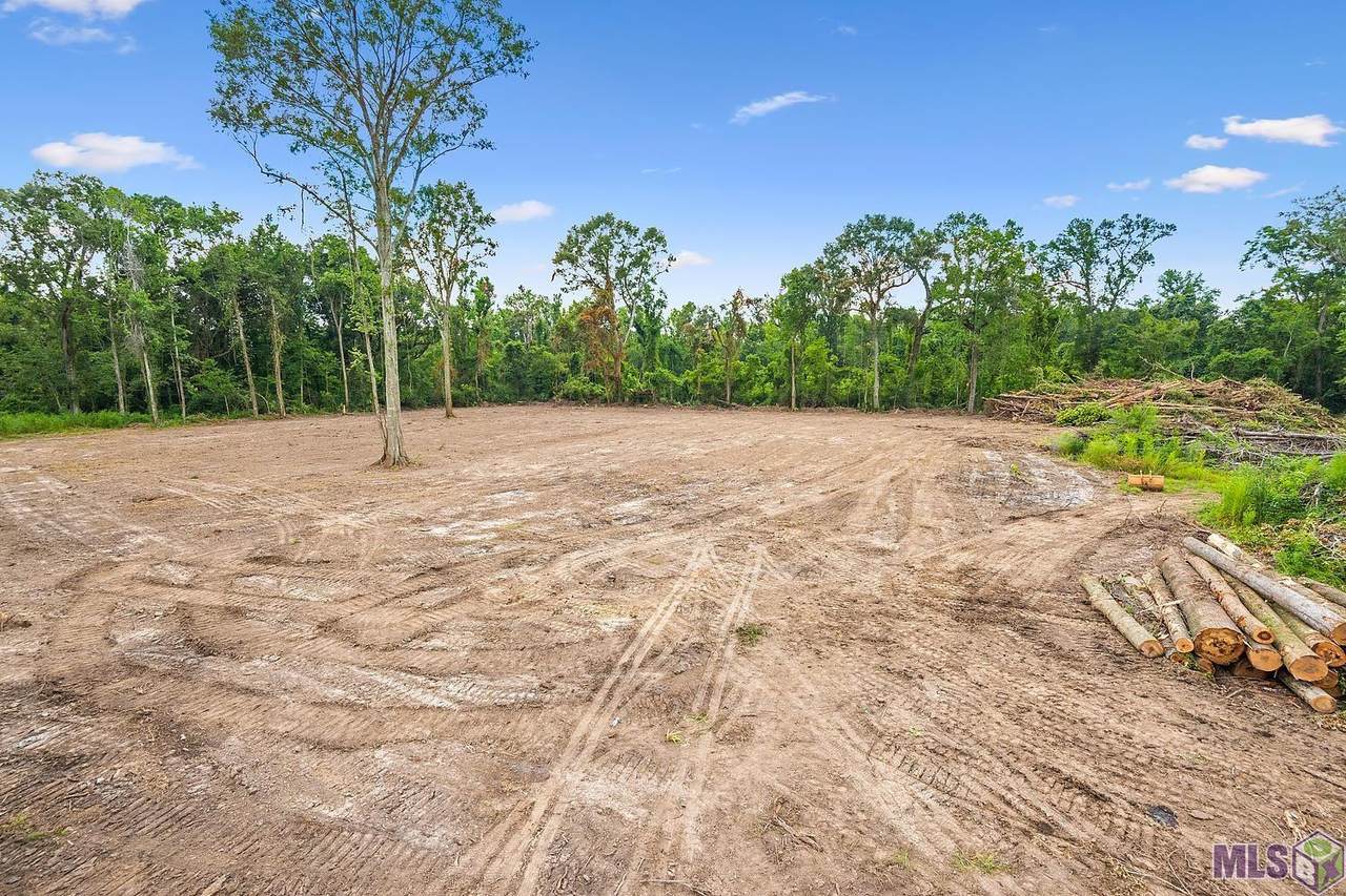 38334 Robert Wilson Rd - Photo 1