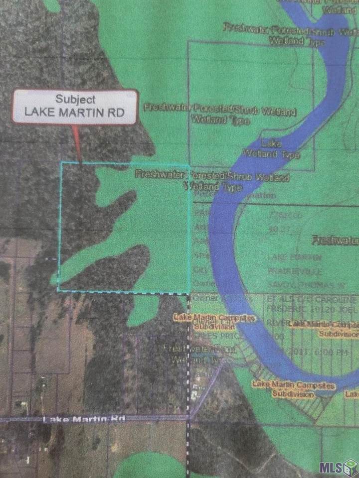 Lot#6E Lake Martin Rd - Photo 1