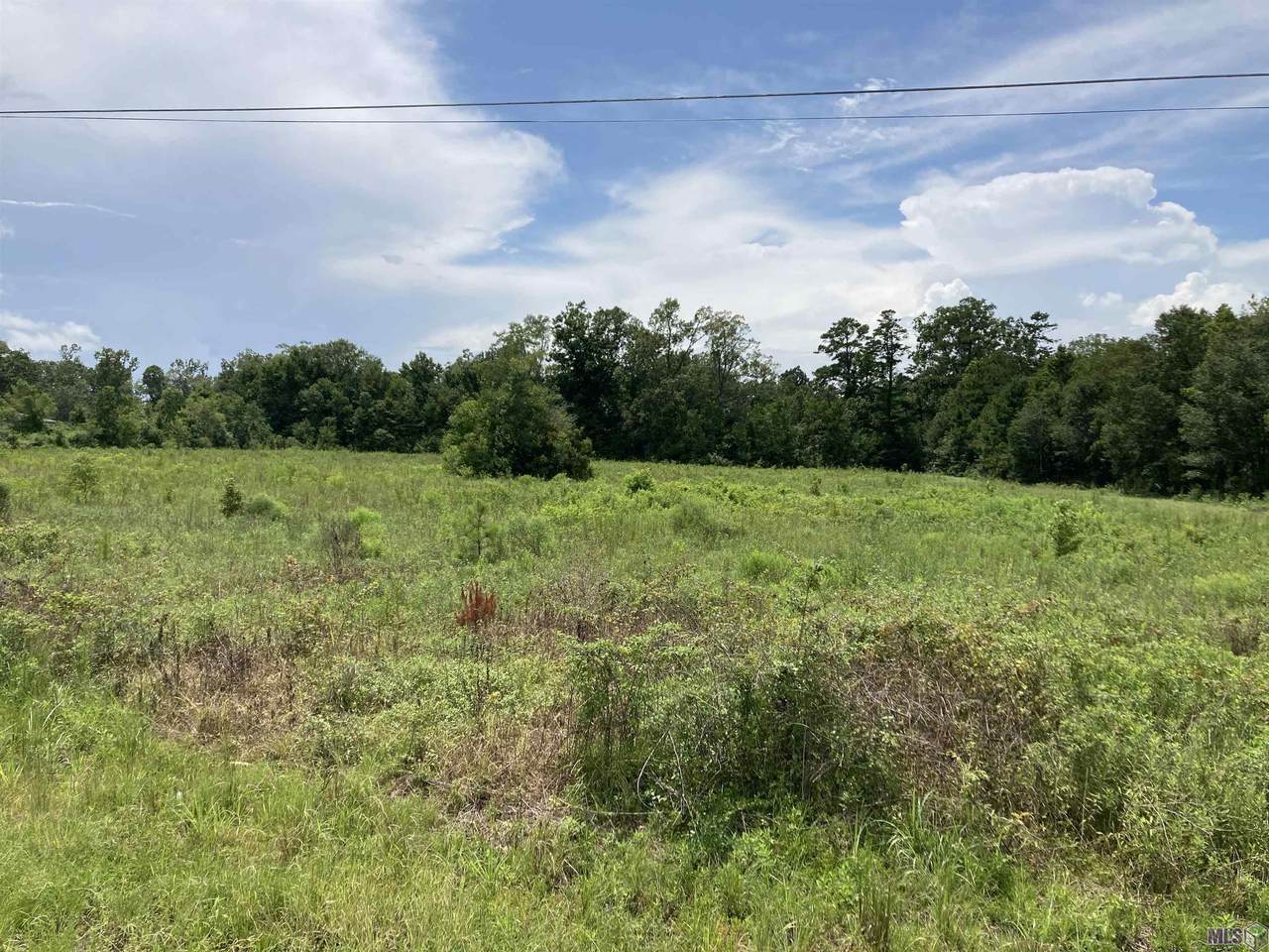 17149 La Hwy 933 - Photo 1