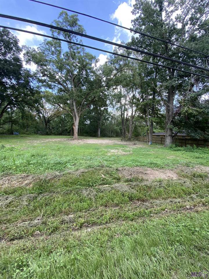 30200 Walker Rd - Photo 1