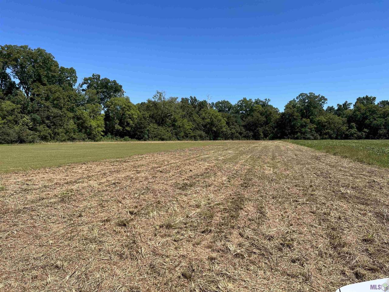 12248 Jepko Ln - Photo 1