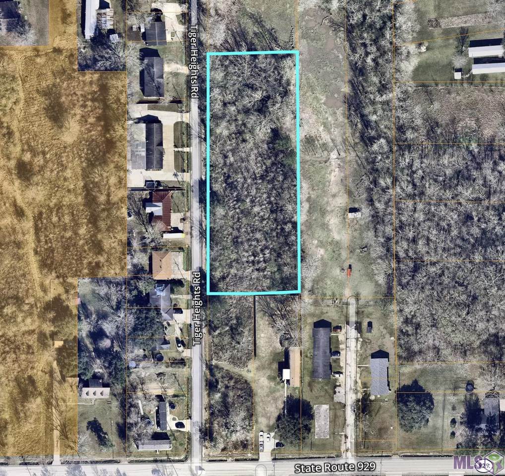 TBD Tiger Heights Rd - Photo 1