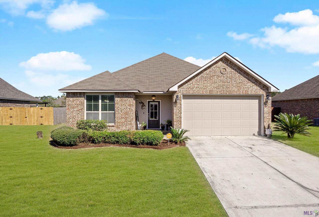 10705 Dodger Dr - Photo 1