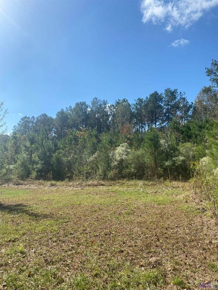 1268 Willie Redden Rd - Photo 1