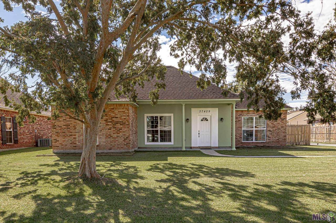 37429 Parkwood Ave - Photo 1