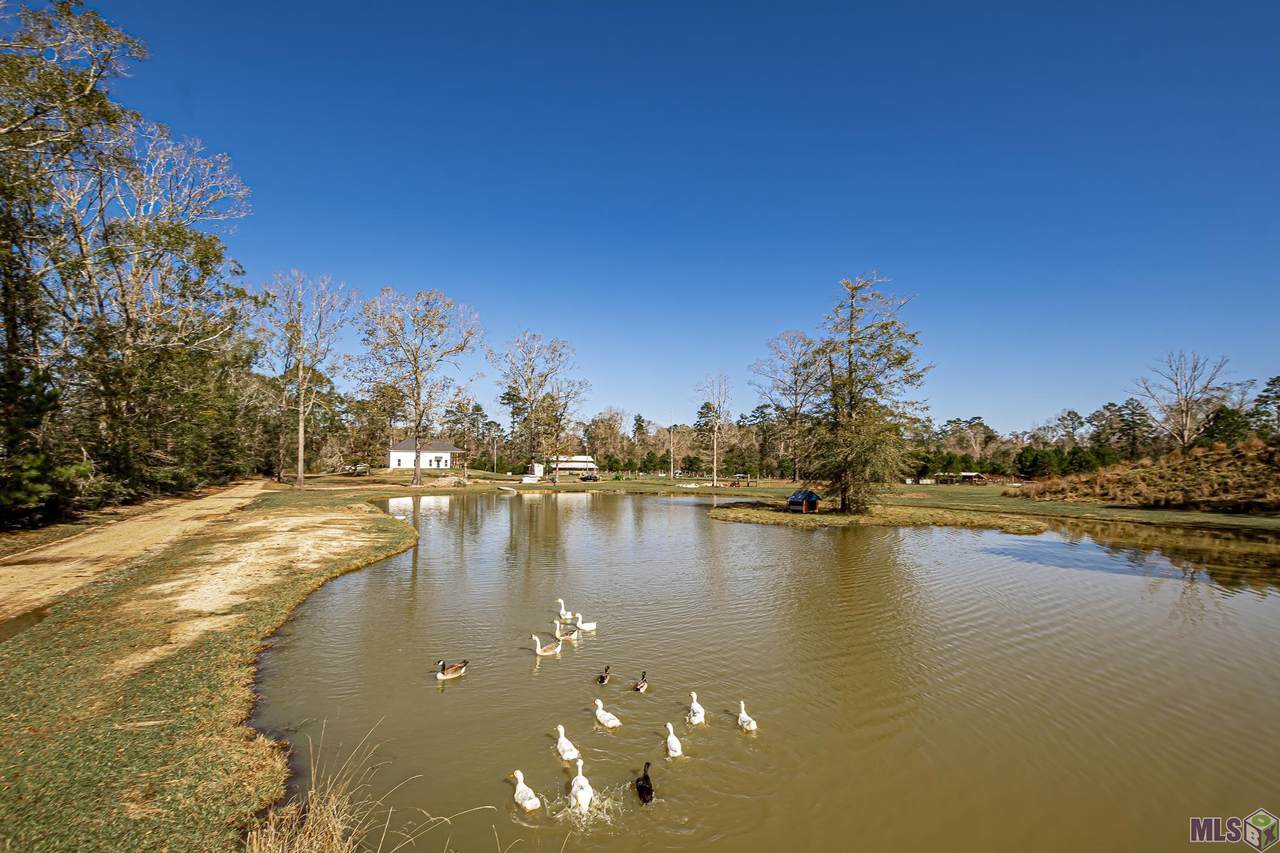32028 Doyle Rd - Photo 1