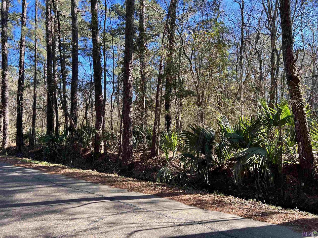 Lot 9 Sandra Dr - Photo 1