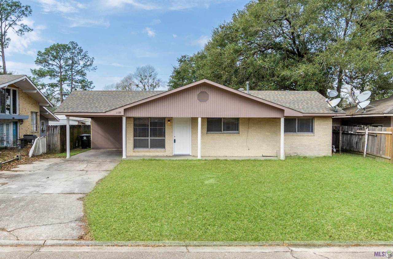 1133 Flora Ln - Photo 1