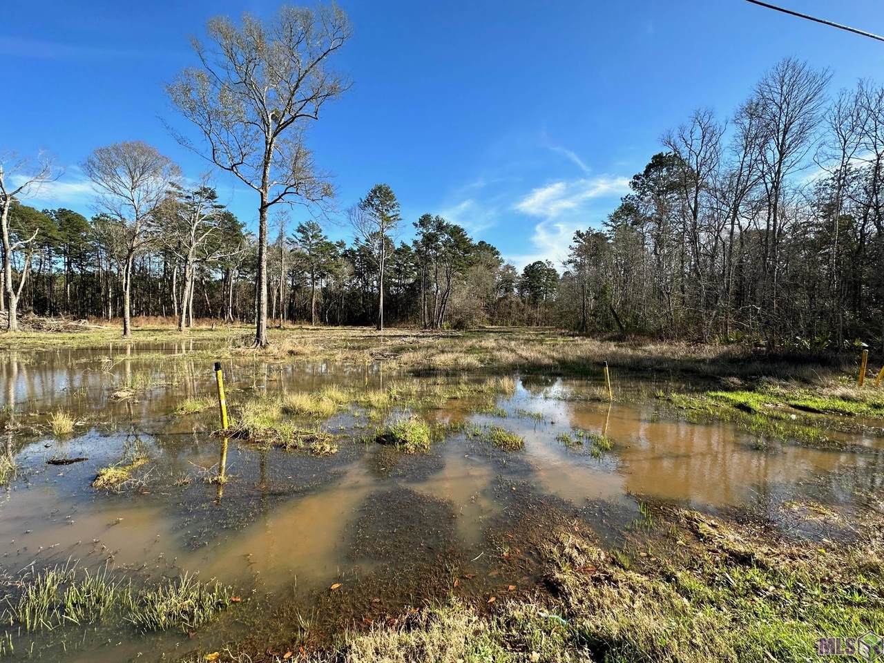 30416 Cane Market Rd - Photo 1