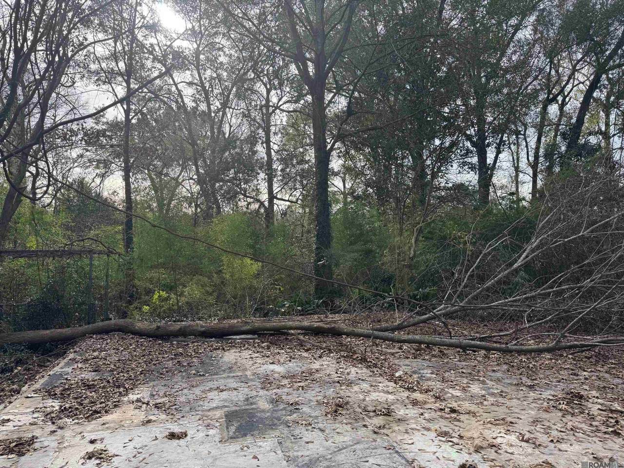 https://bt-photos.global.ssl.fastly.net/batonrouge/1280_boomver_2_2023001221-2.jpg