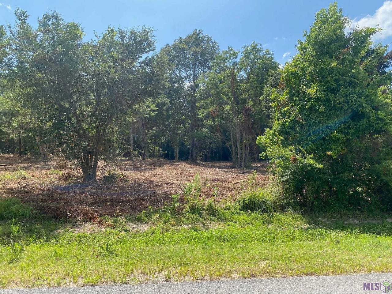 18377 Amite Acres Dr - Photo 1
