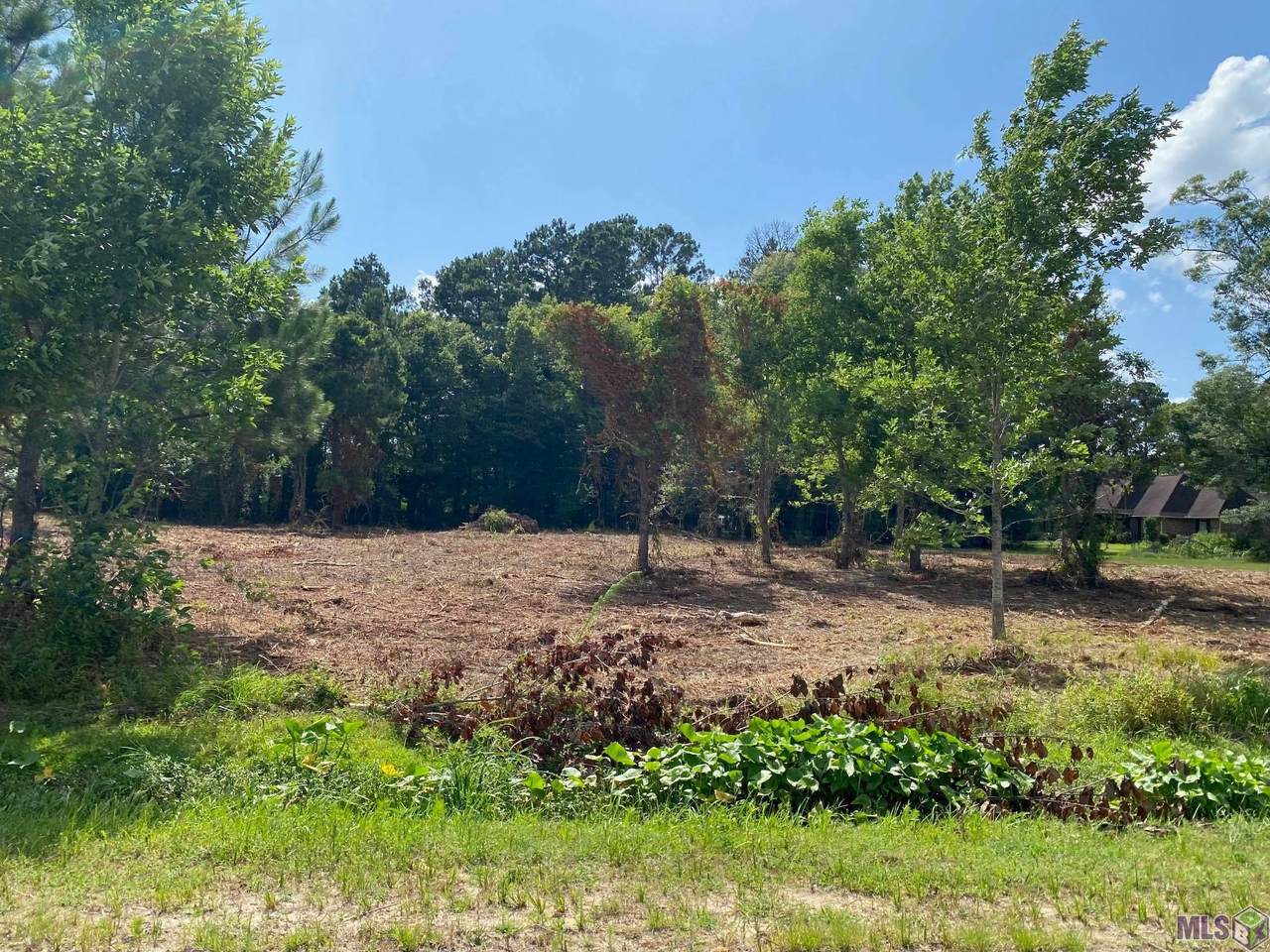 18383 Amite Acres Dr - Photo 1