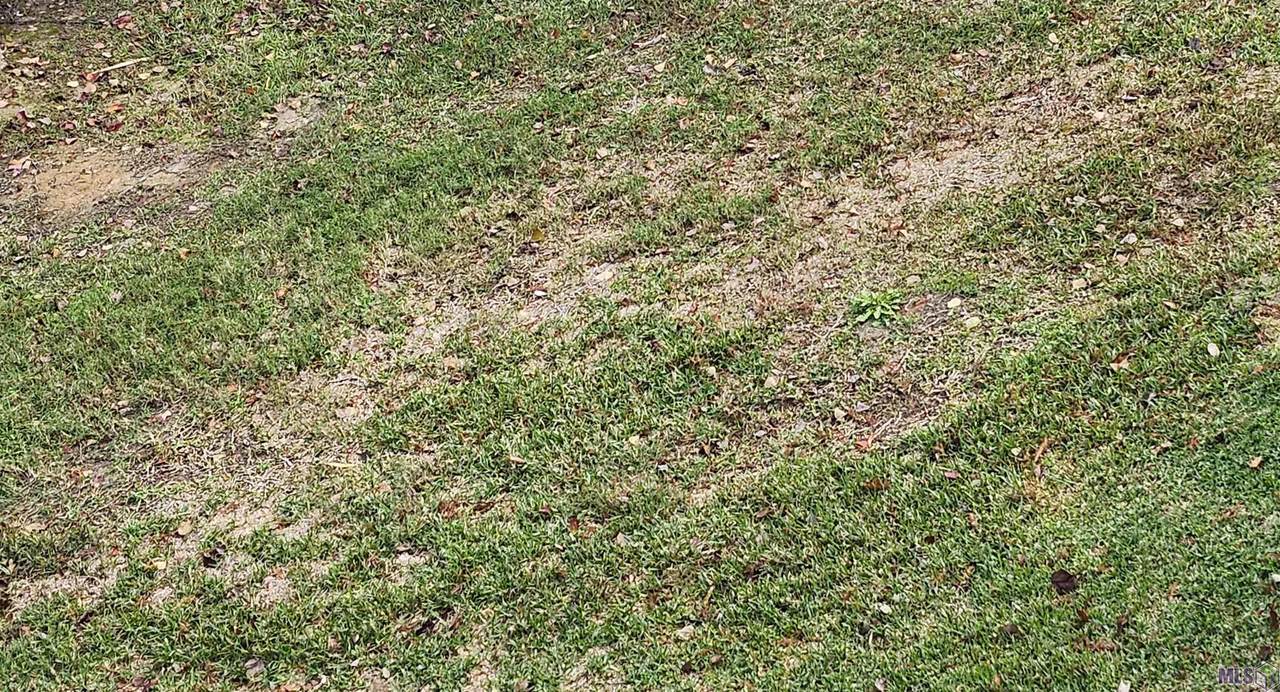 Lot 68 A&B El Scott Ave - Photo 1