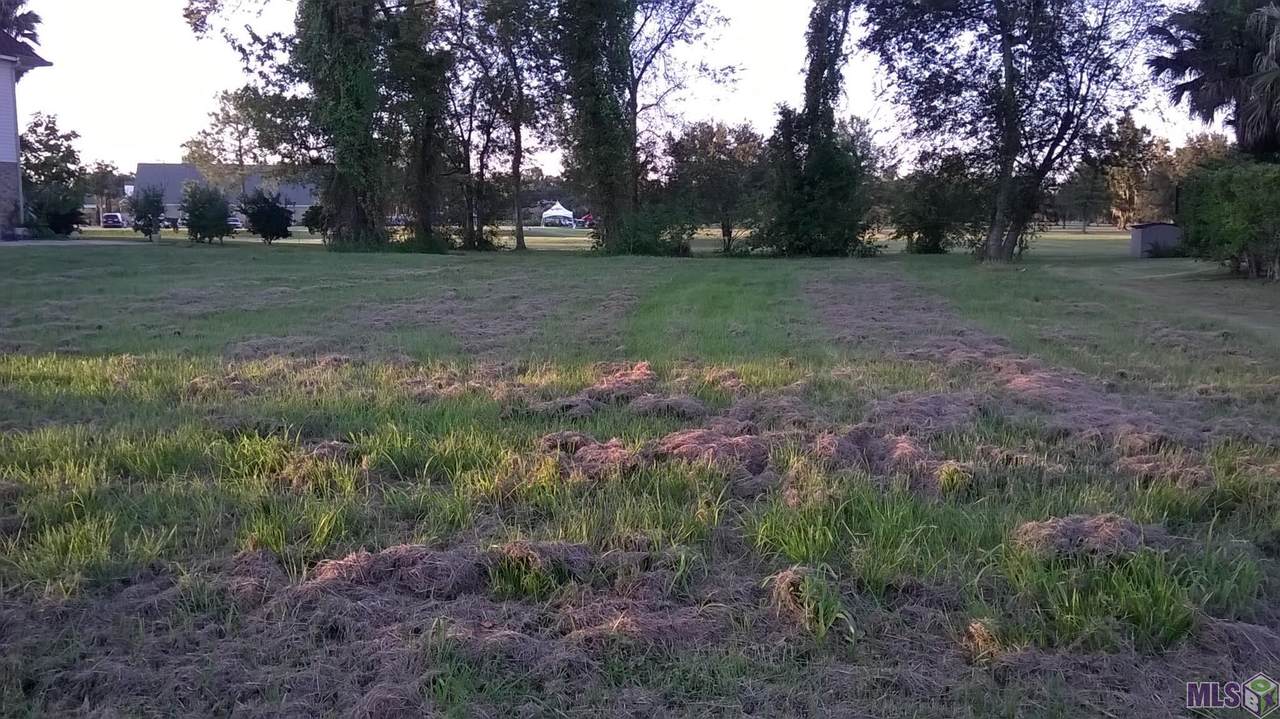 2005 Ormond Blvd - Photo 1