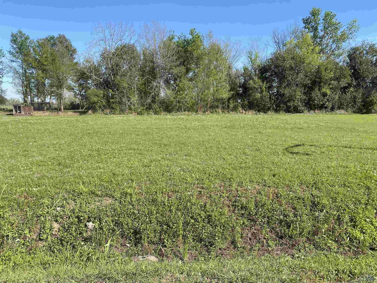 209 Le Belle Maison Drive - Photo 1