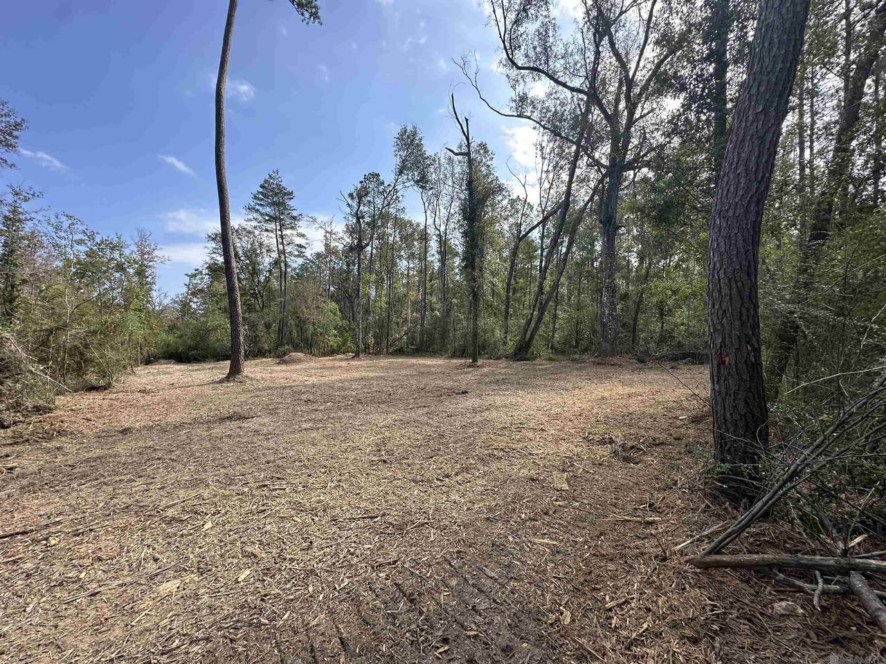 5.12 Acres White Oak Ln - Photo 1