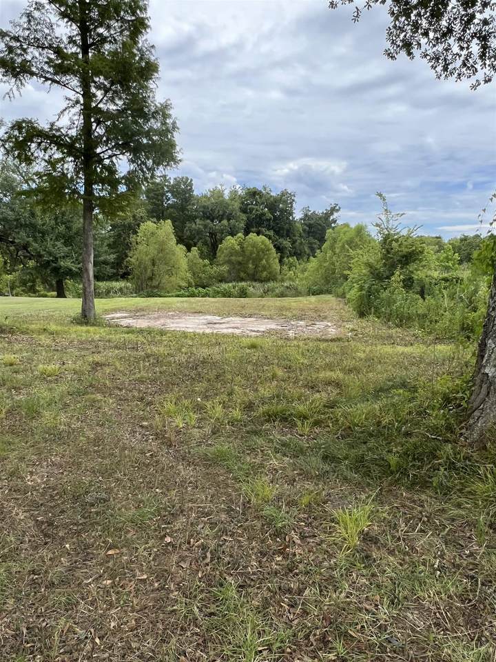 43116 La Hwy 42 - Photo 1