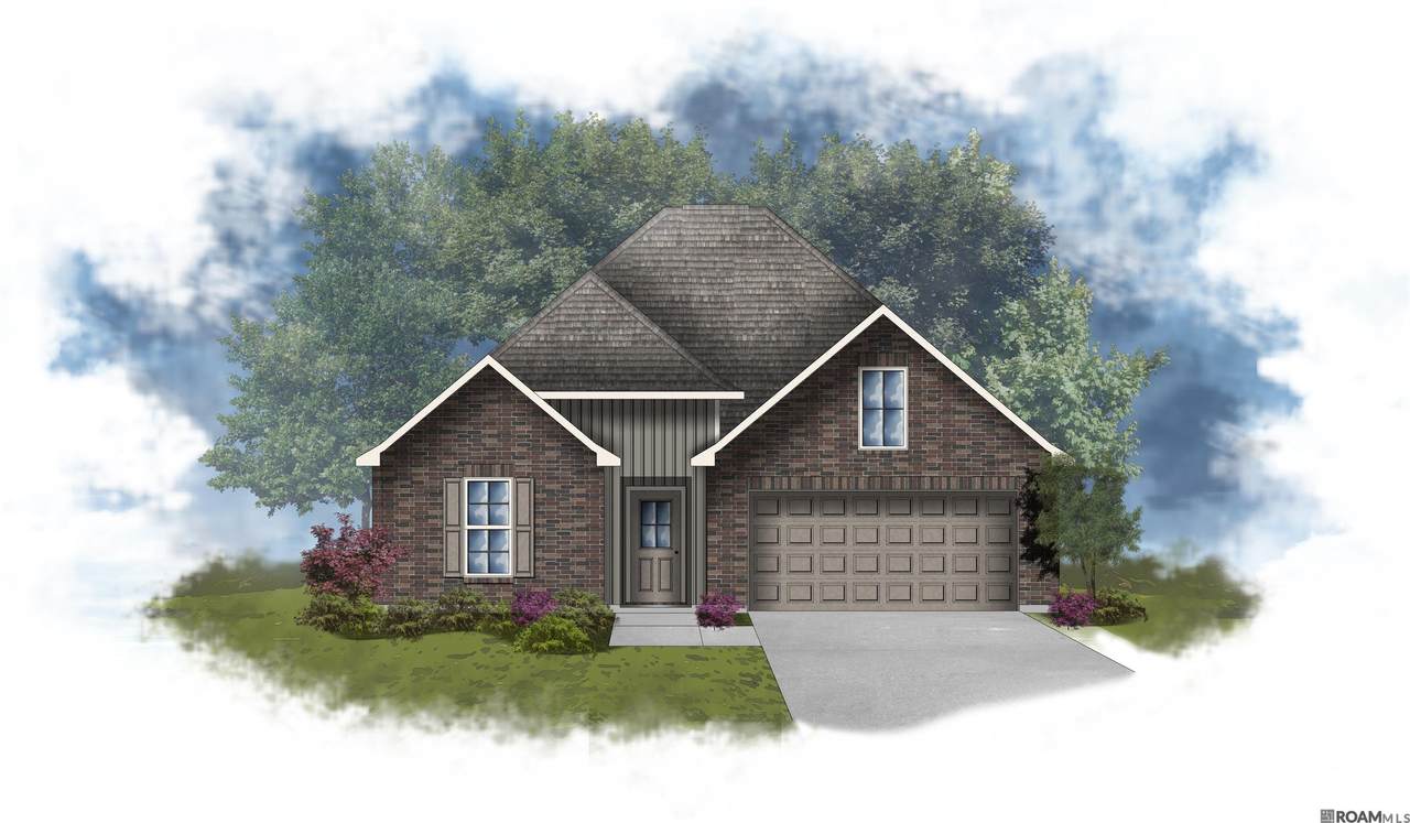 32520 White Bloom Ln - Photo 1