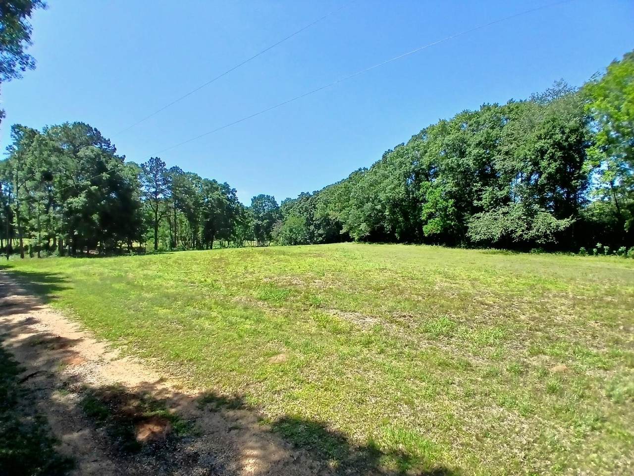 38090 Emmett Carter Road - Photo 1