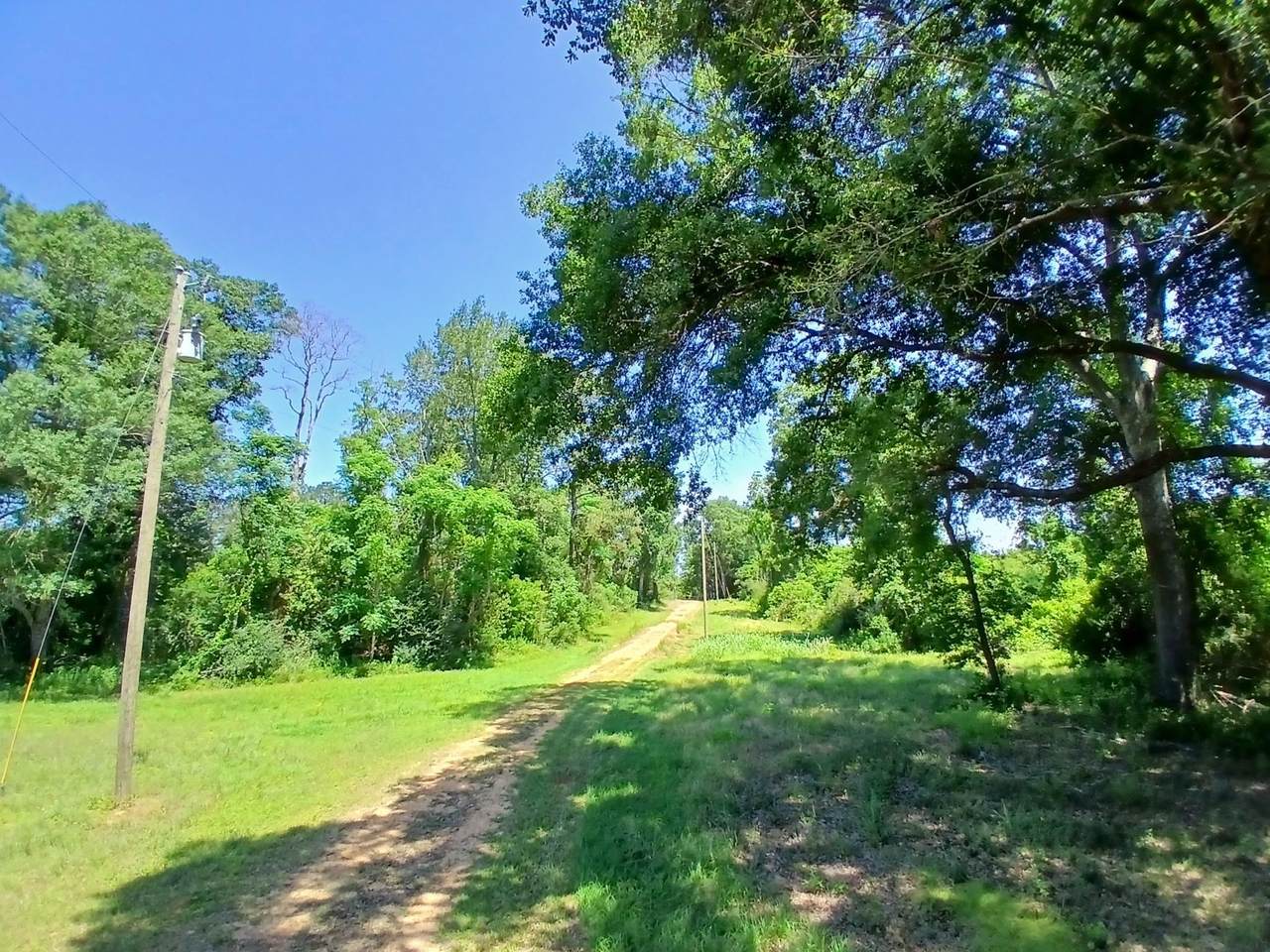 https://bt-photos.global.ssl.fastly.net/batonrouge/1280_boomver_1_2025009468-2.jpg