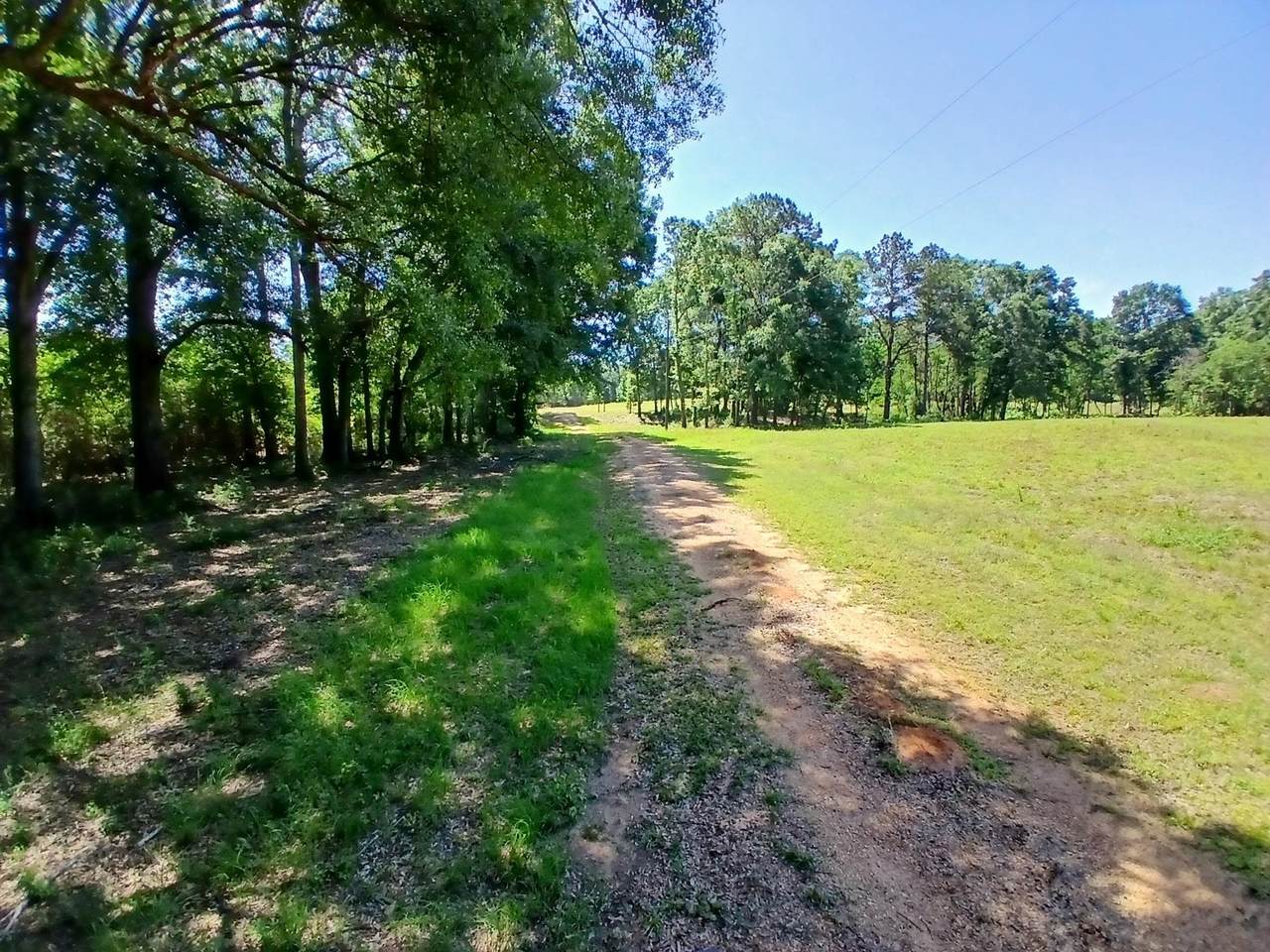 https://bt-photos.global.ssl.fastly.net/batonrouge/1280_boomver_1_2025009468-2.jpg