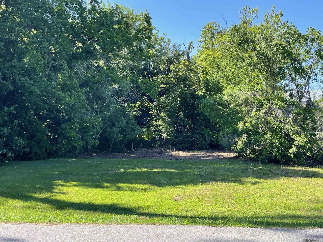 TBD Telegraph - Photo 1