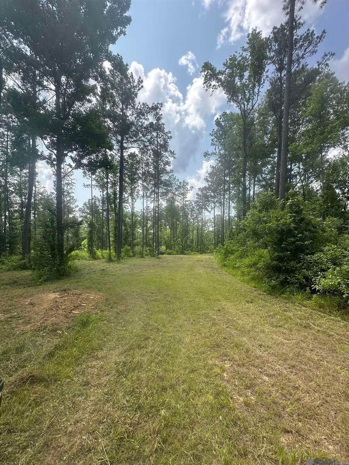 9139 Peterson Rd - Photo 1