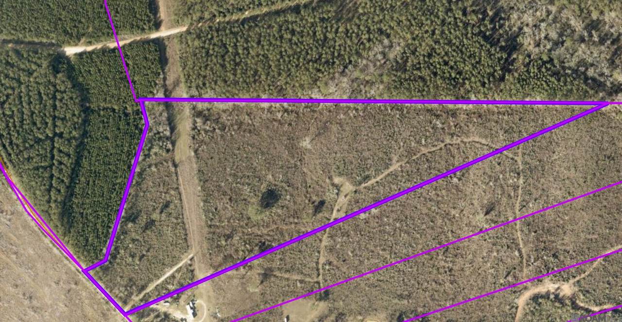 TBD-Tract 1 Gilead Rd - Photo 1