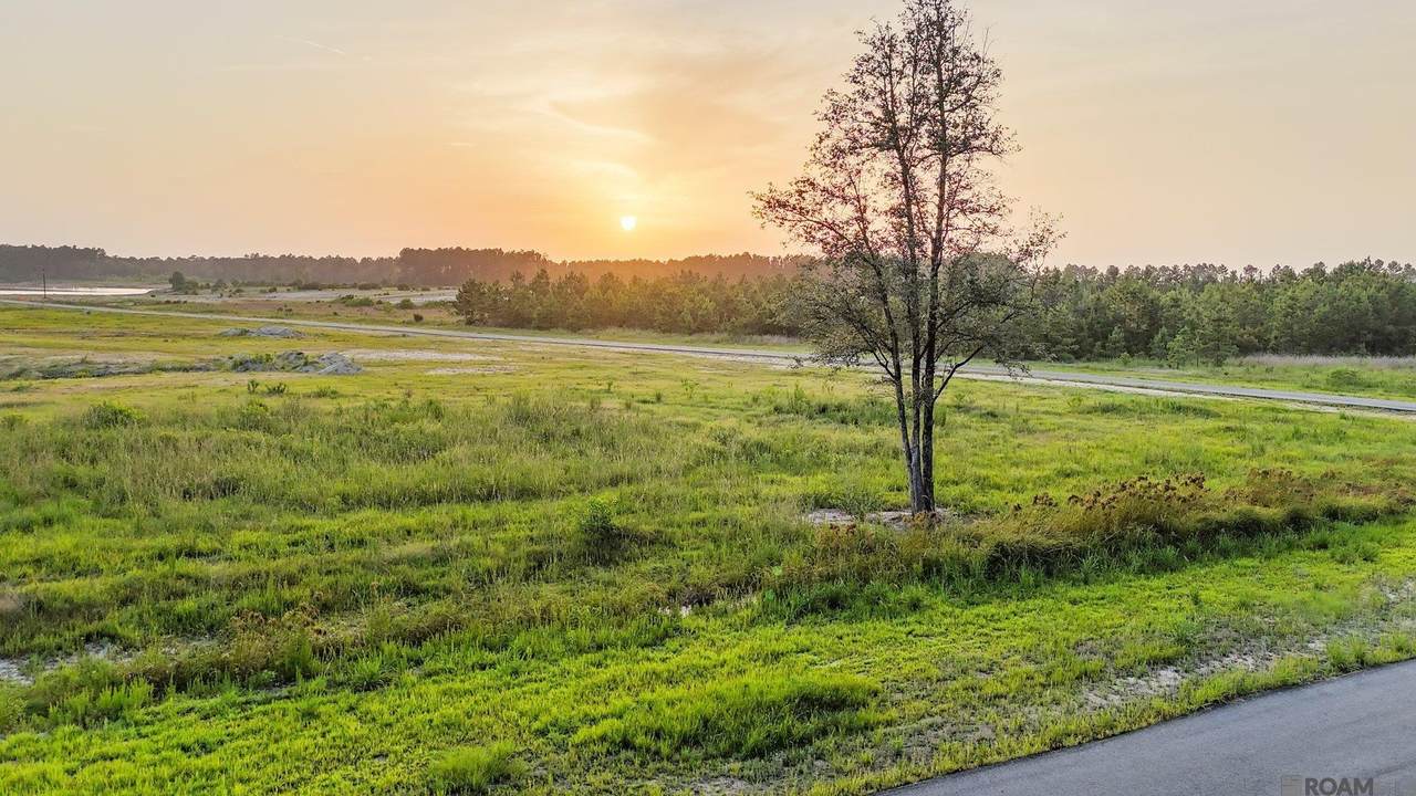 Lot 12 Hidden Oaks Ln - Photo 1