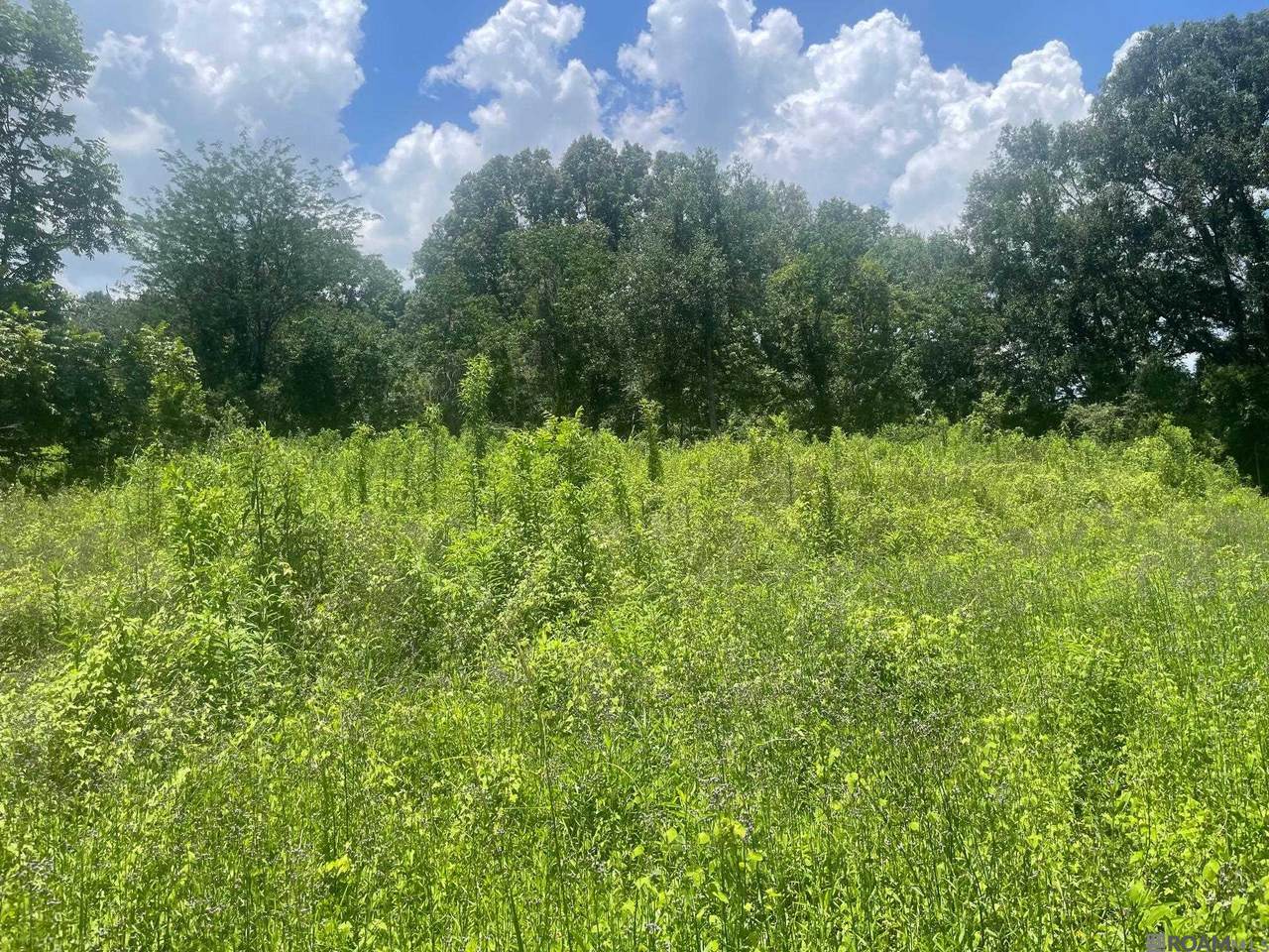 LOT 67A Sunnybrook Dr - Photo 1