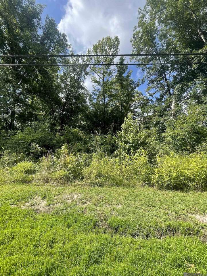 TBD Baker Blvd - Photo 1