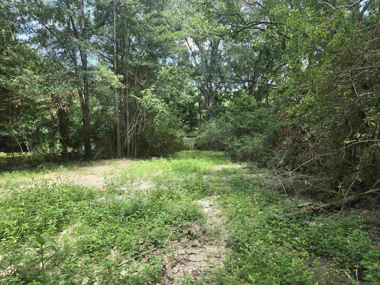 https://bt-photos.global.ssl.fastly.net/batonrouge/1280_boomver_1_2025013572-2.jpg