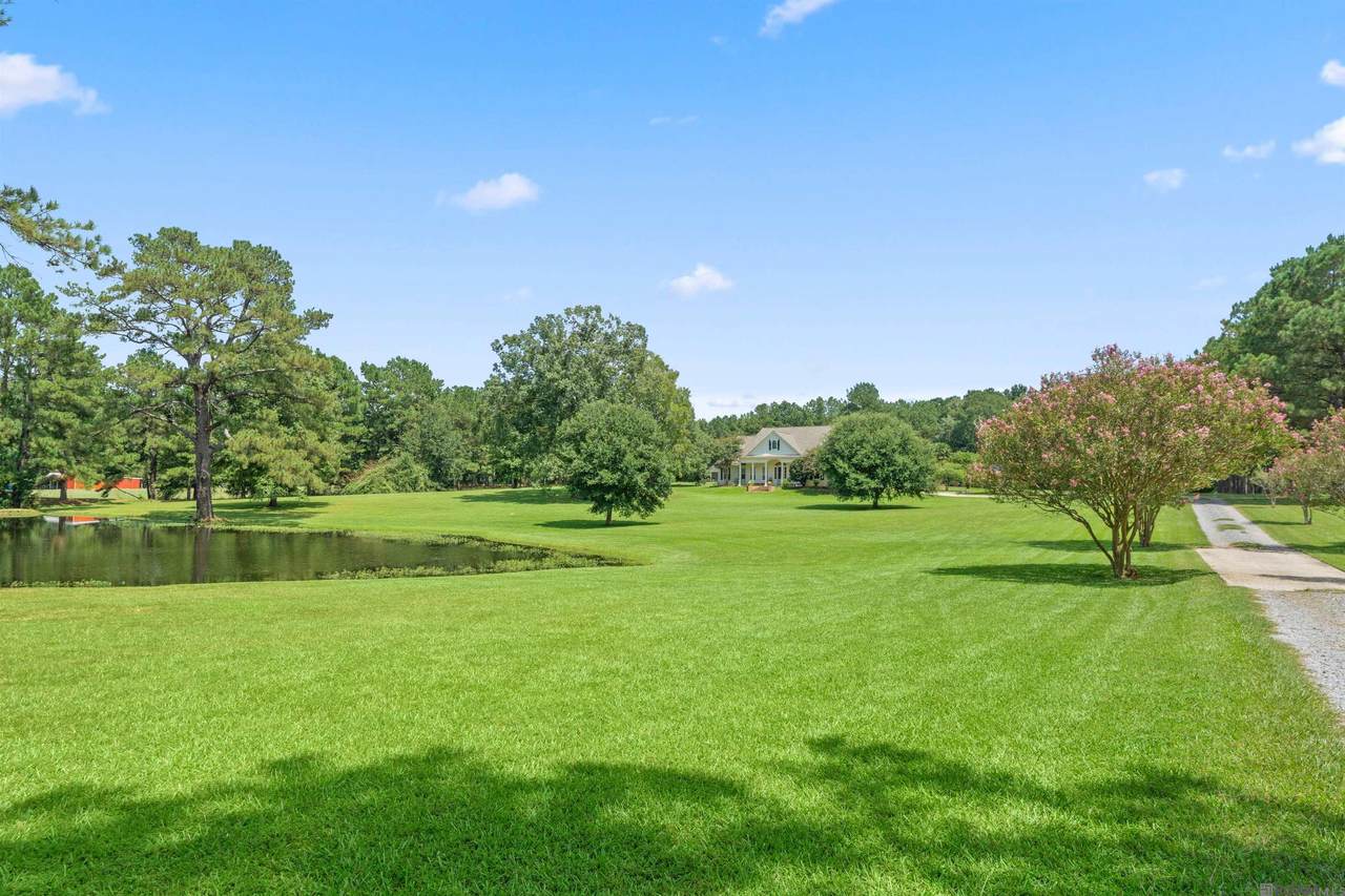 7953 Pipes Ln - Photo 1