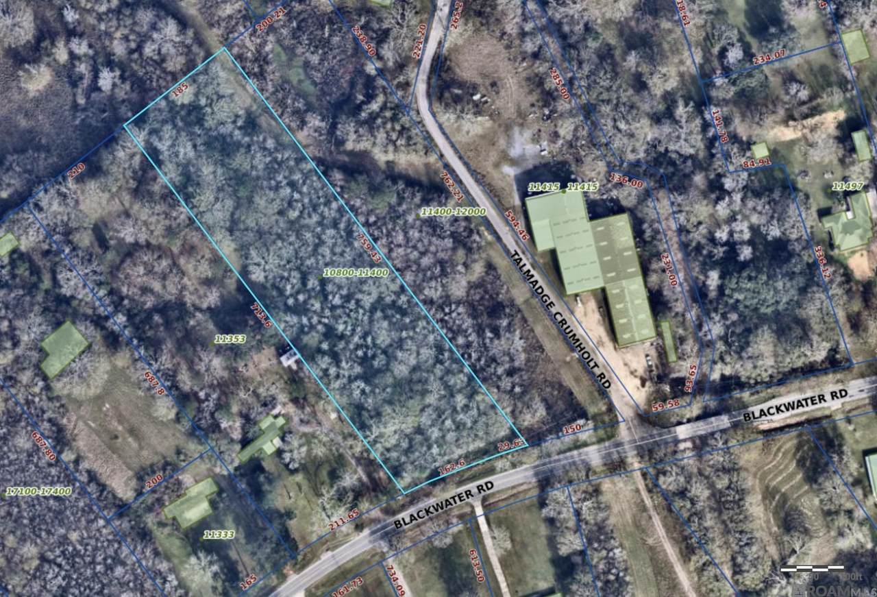TBD Blackwater Rd - Photo 1