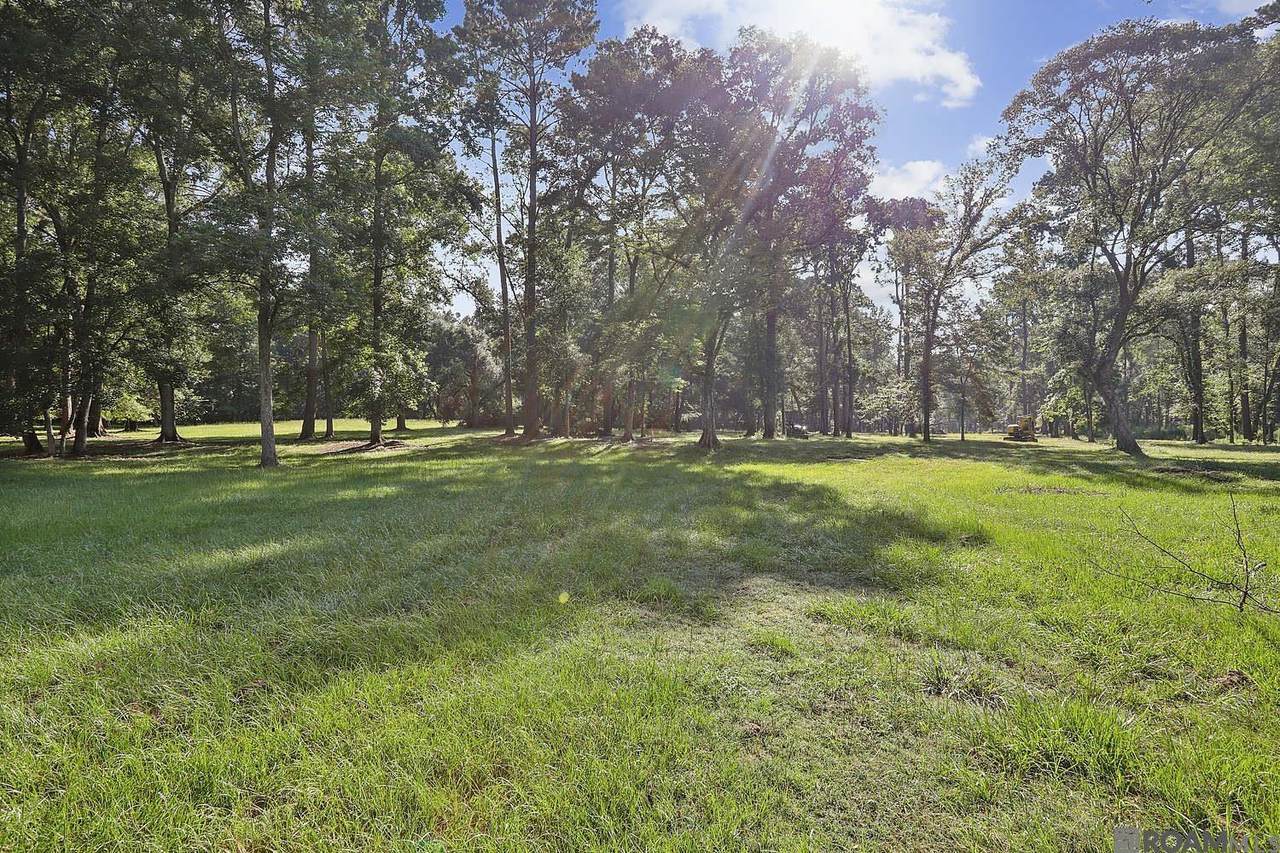 10107 Long Leaf Lane - Photo 1