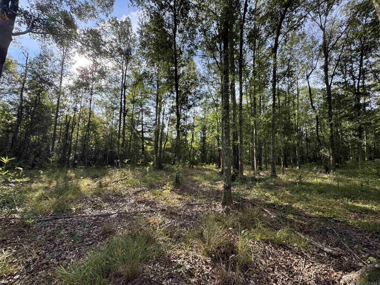 SF-13&14 La Hwy 16 - Photo 1