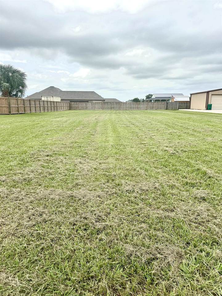 2933 Kiwi Ave - Photo 1