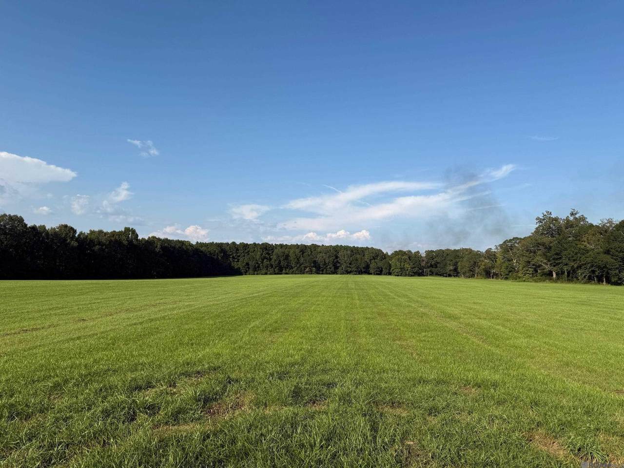 TBD La Hwy 966 - Photo 1