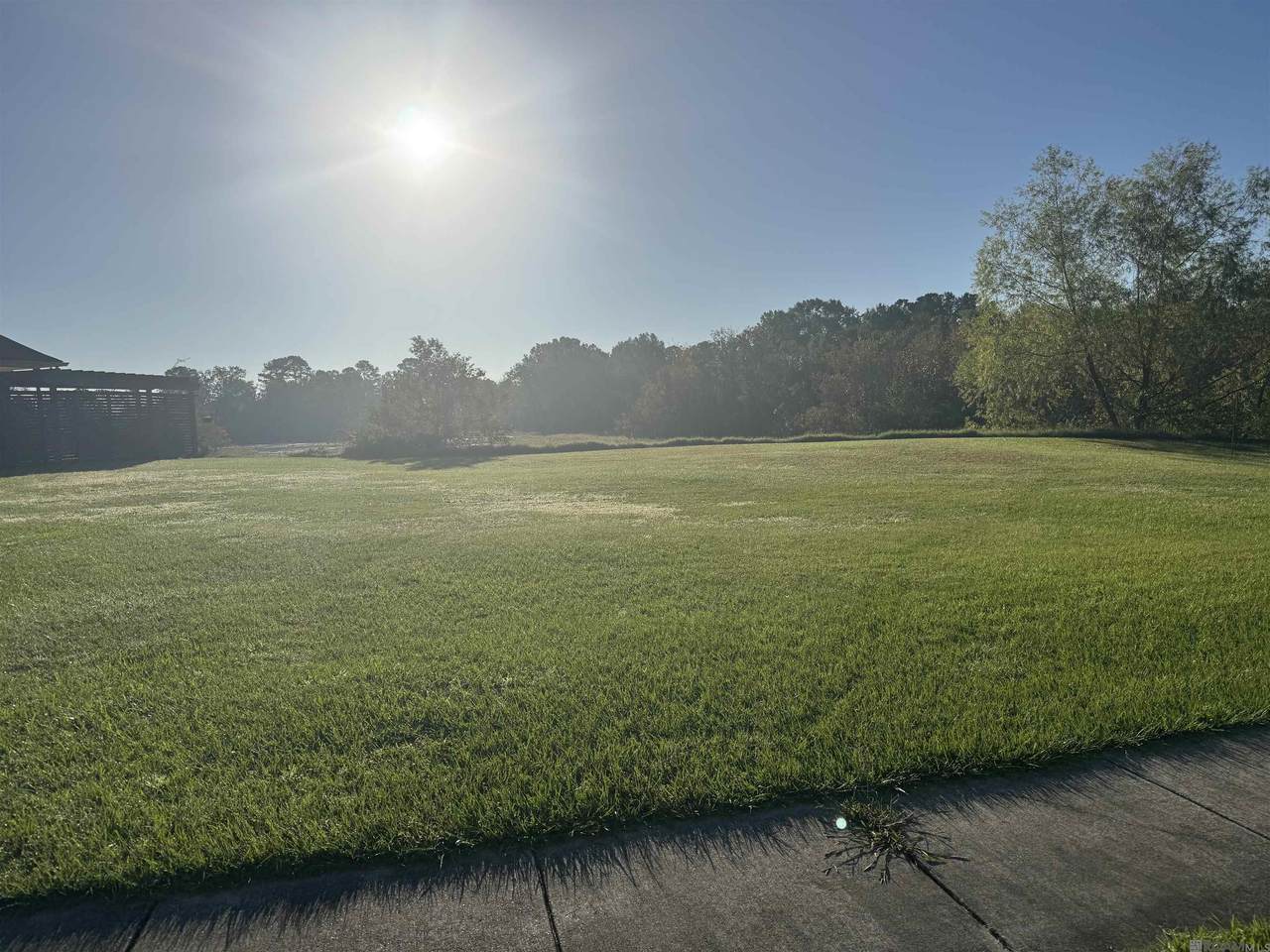 3439 Timber Grove Dr - Photo 1