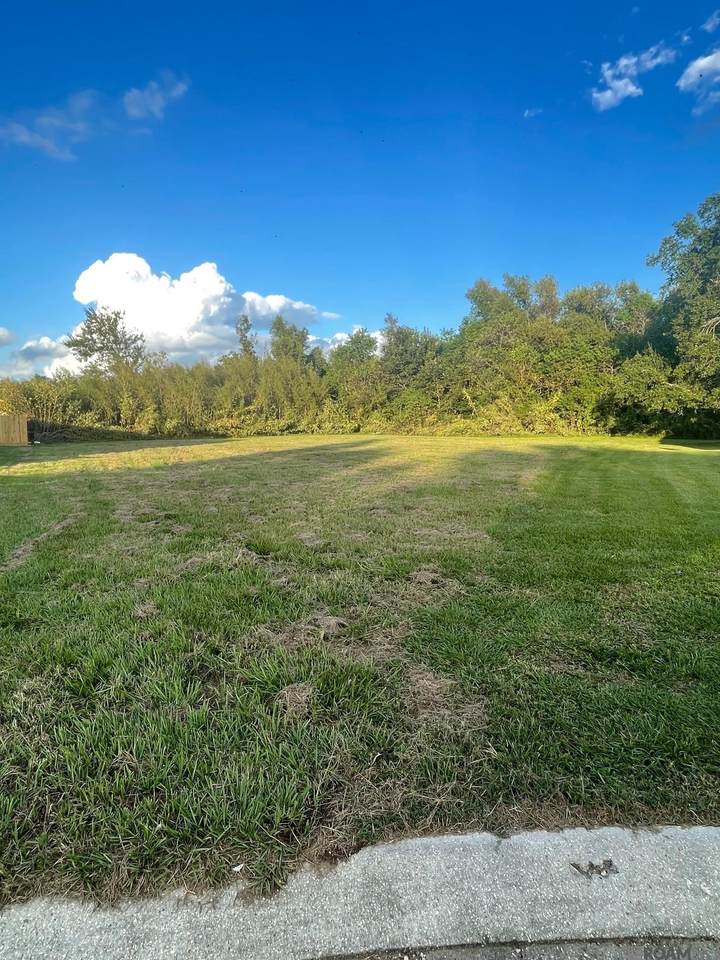 784 Emma Dr - Photo 1