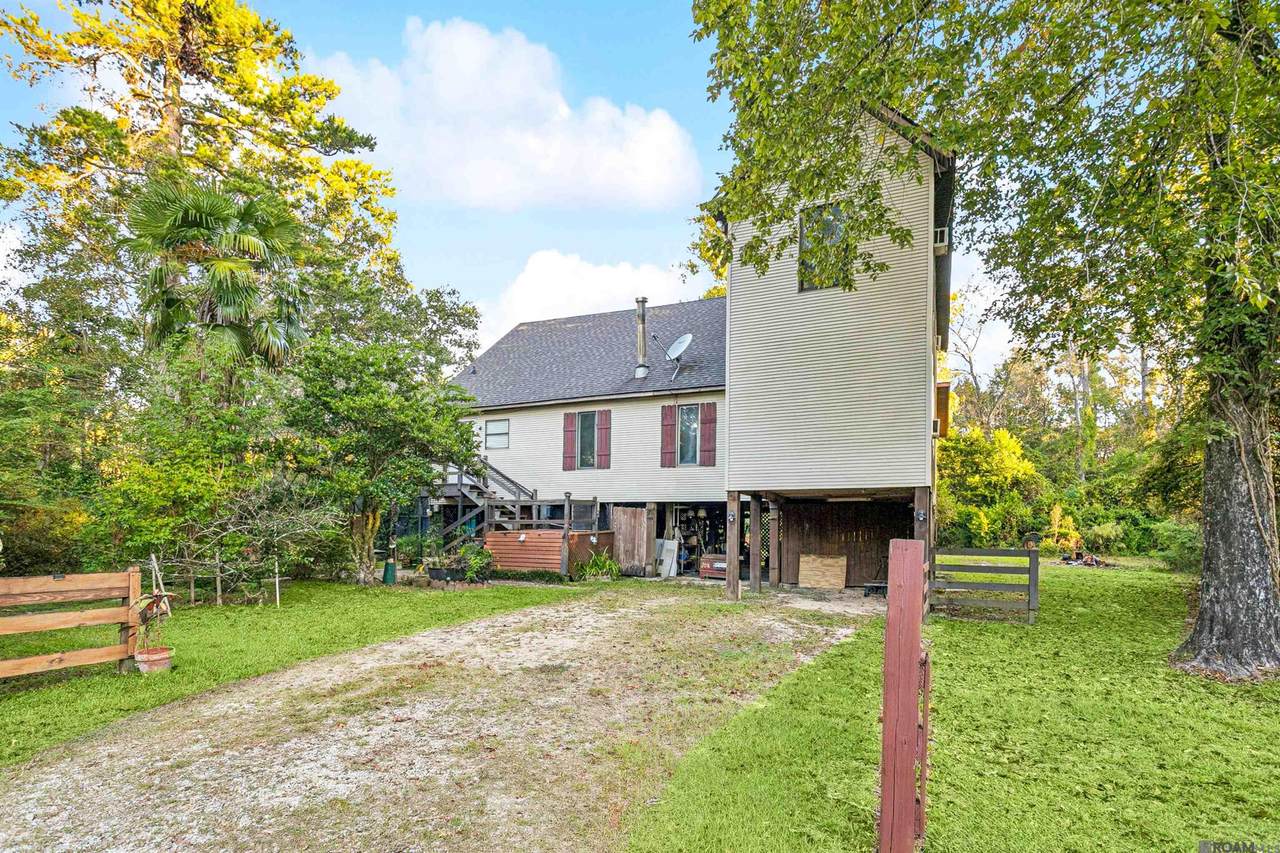 31665 Tickfaw Acres Rd - Photo 1