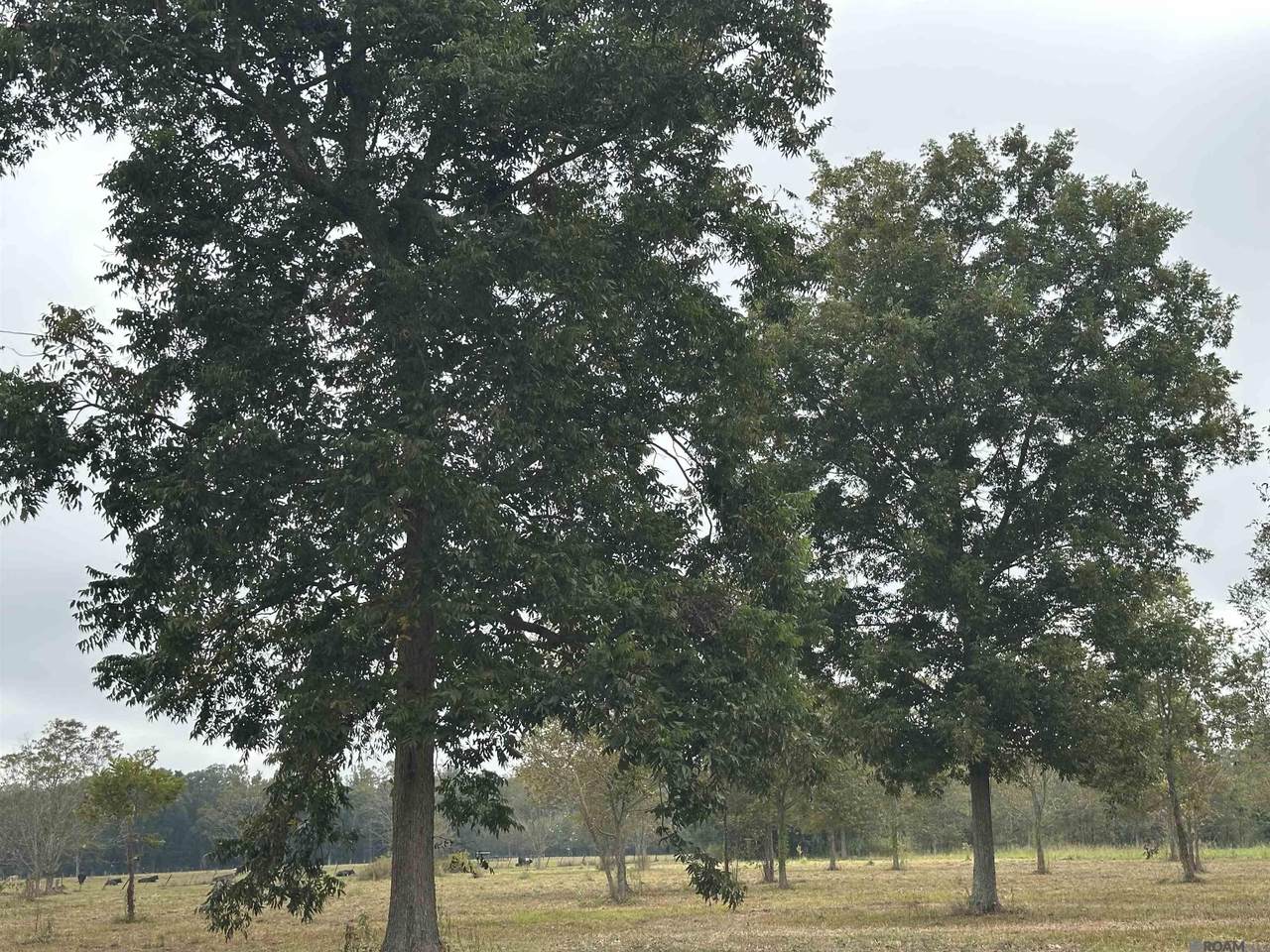 8874 Elton St - Photo 1