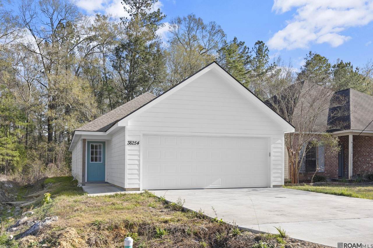 38254 Shelby Dr - Photo 1