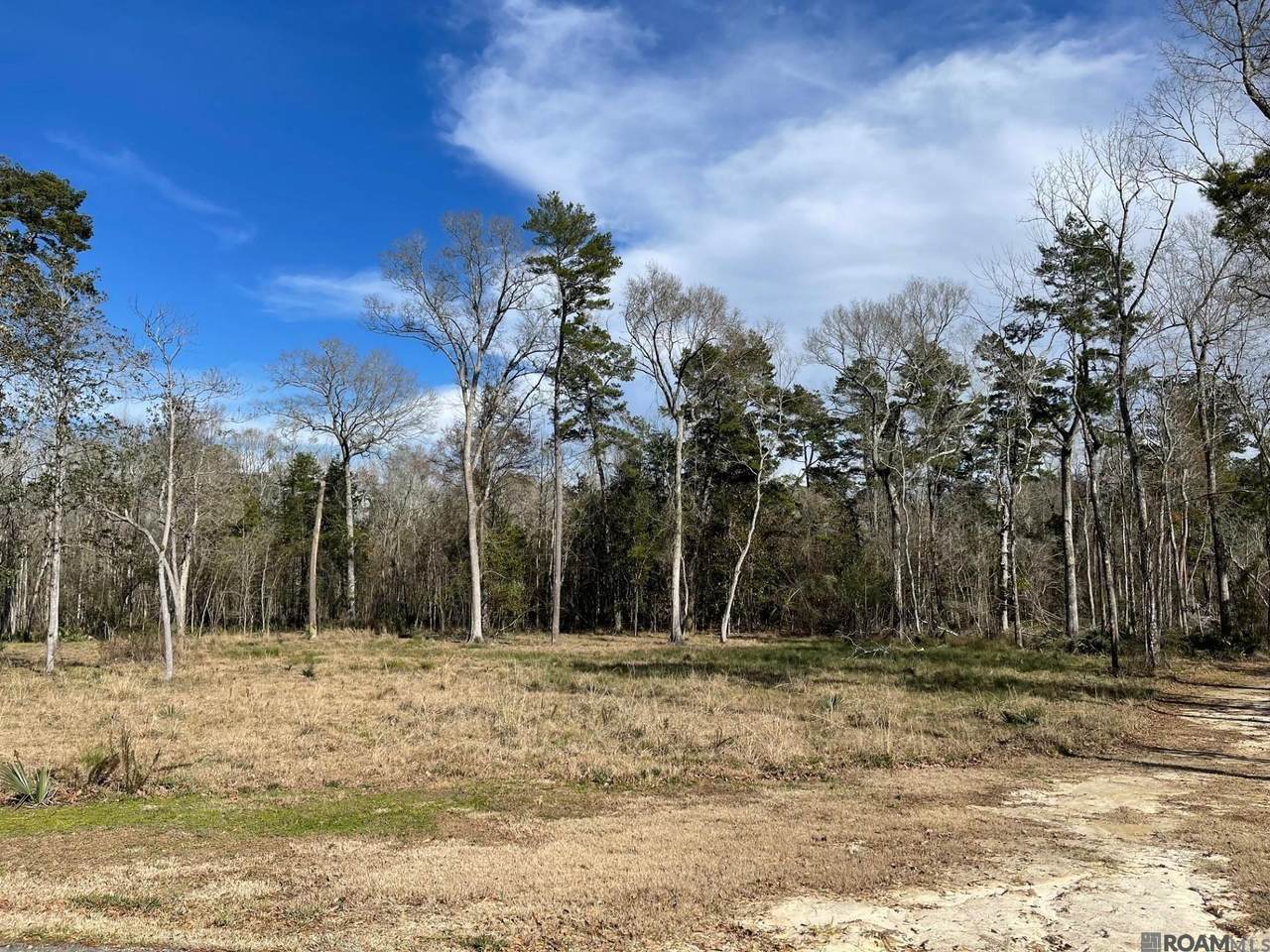 Lot 9 Ridgeway Ave - Photo 1