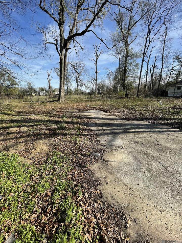 11022 Martin Rd - Photo 1