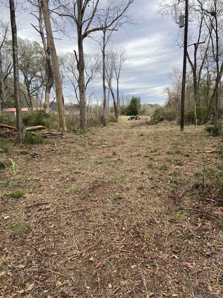 11123 Comeaux Ln - Photo 1