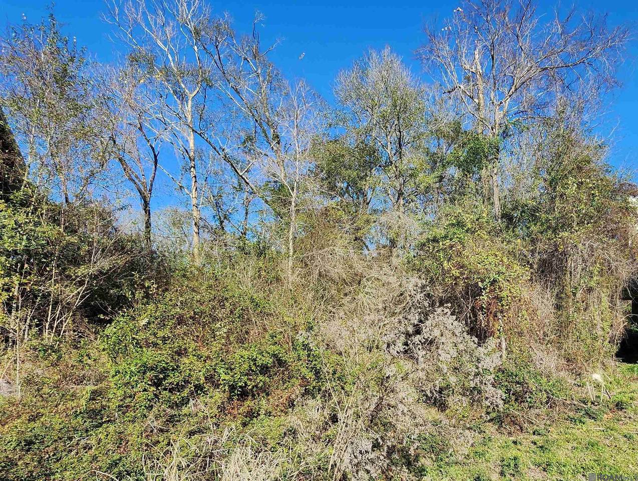 10321 Amite River Rd - Photo 1