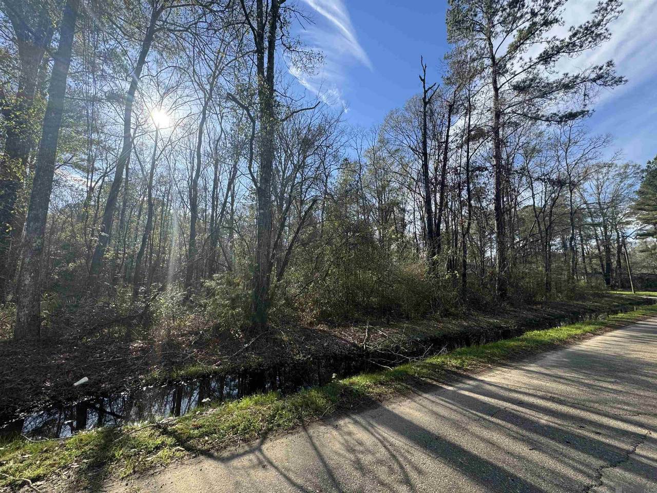 Lot 5-A Joe Lee Rd - Photo 1