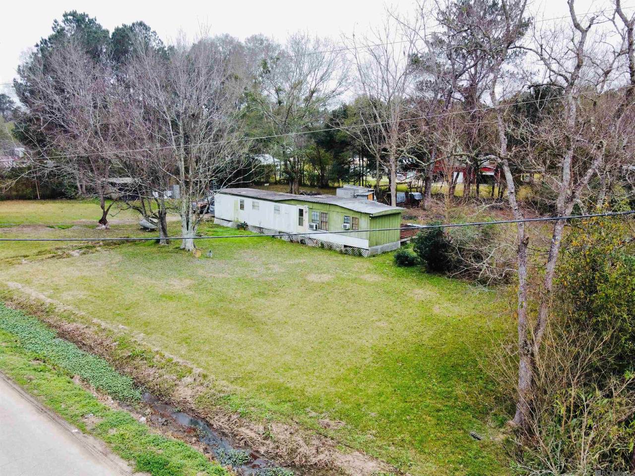 35607 Bonnebell Dr - Photo 1